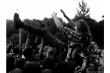 Festiwal �ywiec Folkowo.pl 2011