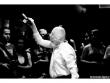 Krzysztof Zar�bski, performance  "�ywy ul (Ukryty trute�)"